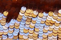 Pailettes on Silk Chiffon3