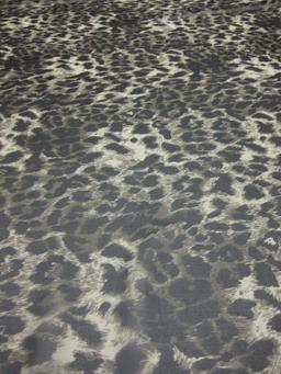 Printed Silk Chiffon1