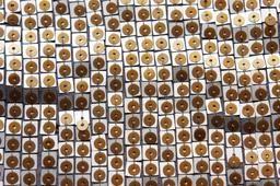 Sequins on Silk Chiffon2