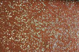 Sequins on Silk Chiffon0