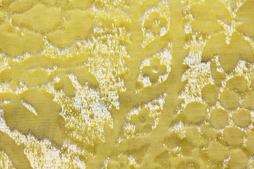 Embossed Silk Lurex Panné Velvet3