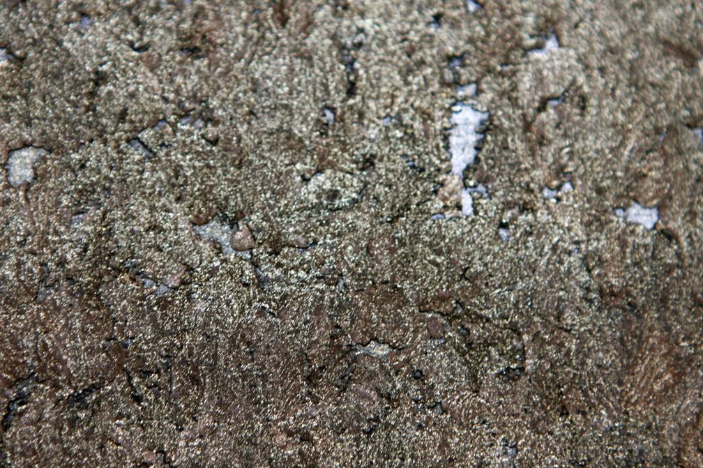 Brushed Platinum Cork2