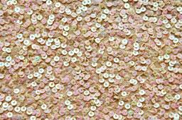 Sequins on Silk Chiffon2