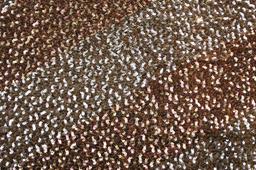 Sequins on Silk Chiffon0