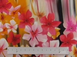 Printed Silk Chiffon1