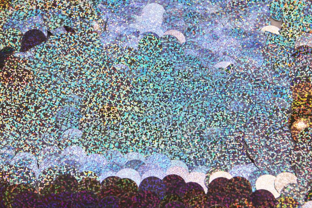 Paillettes on Silk Chiffon1