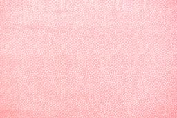 Cotton Broadcloth Print0