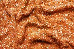 Sequins on Silk Chiffon3