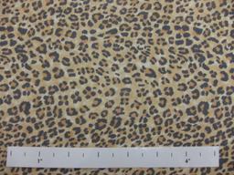 Printed Silk Chiffon0