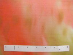 Printed Silk Chiffon0