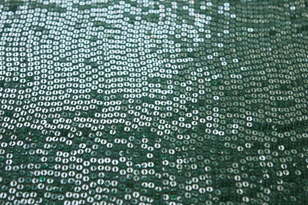 Sequins on Silk Chiffon0