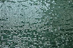 Sequins on Silk Chiffon0