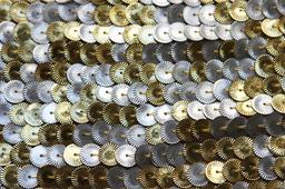 Novelty Paillettes on Silk Chiffon3