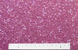 Sequins on Silk Chiffon1