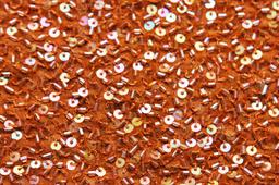 Sequins on Silk Chiffon2