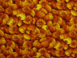 Cotton Broadcloth Print0