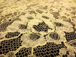 Ecru floral stretch French Chantilly Lace