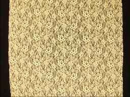 Ecru floral stretch French Chantilly Lace