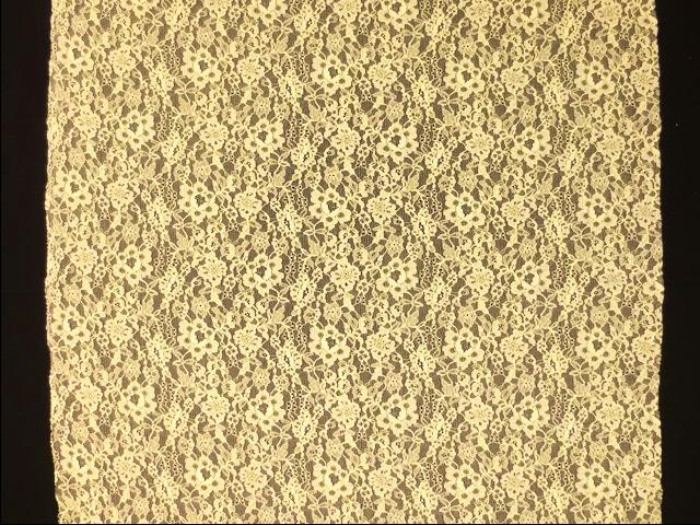 Ecru floral stretch French Chantilly Lace