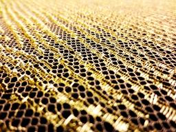 Single scallop gold metallic French Chantilly Lace