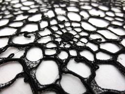 Double scallop black floral corded French Chantilly Lace