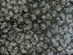 Silk Animal Print Jacquard with Raffia Eyelashes 