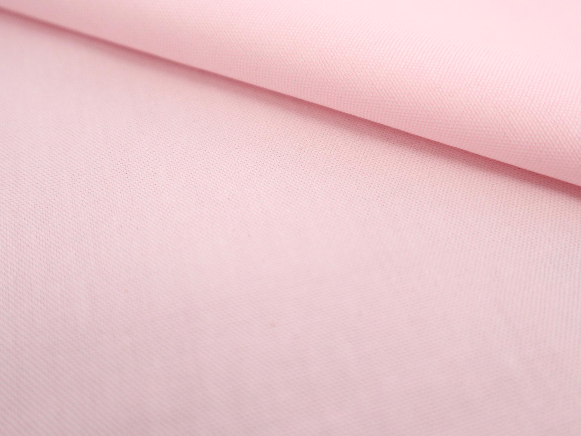 Pima Cotton Oxford in Carnation Pink