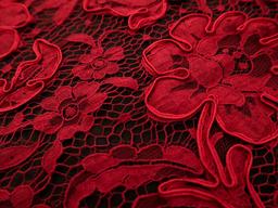 Soutaché Lace in Vermilion 