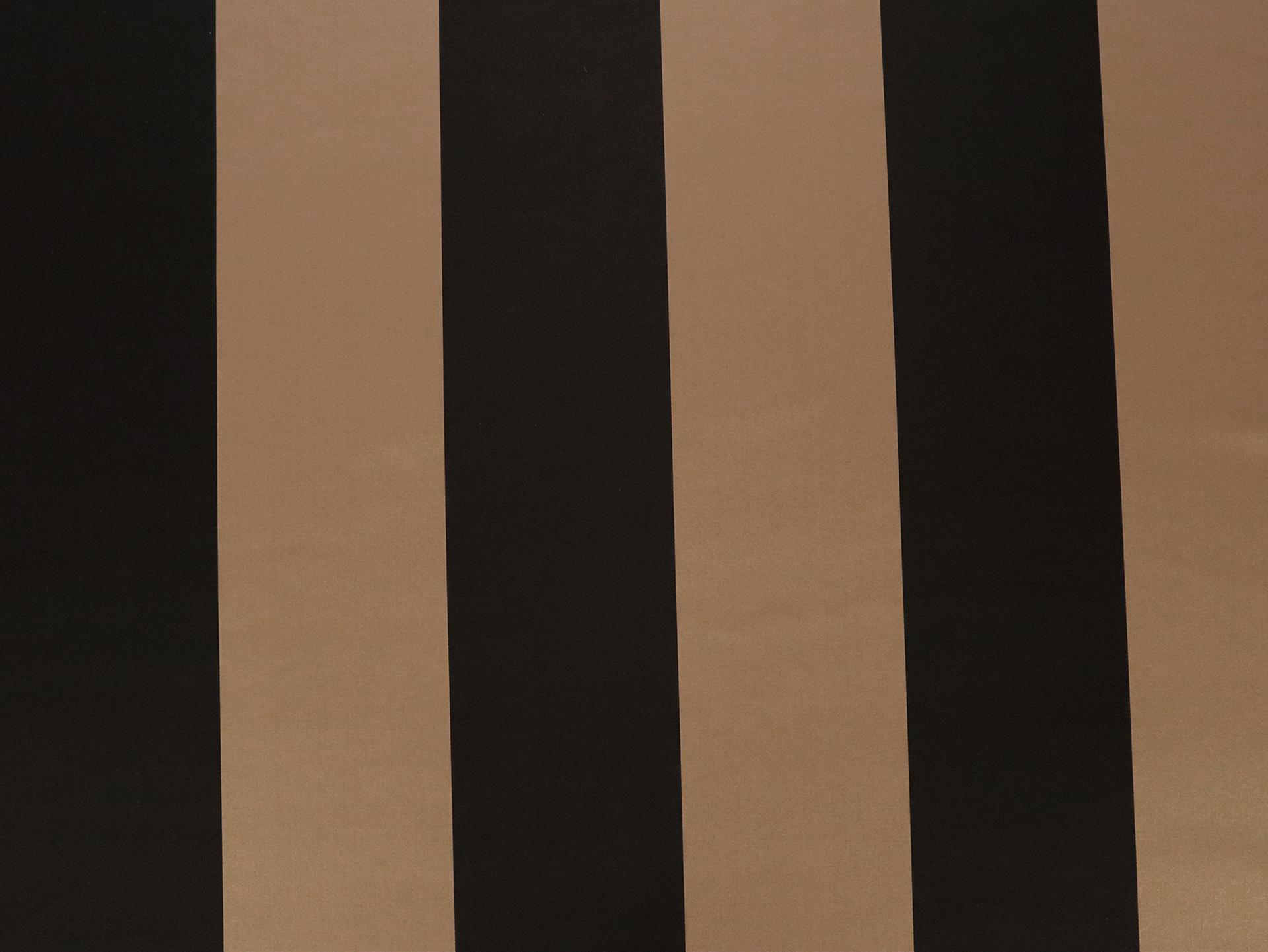 Double Face Silk Satin Stripe in Black and Sand