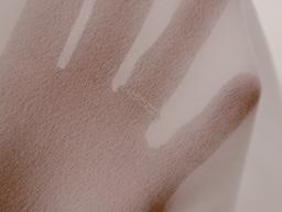 Polyester Double Georgette in White