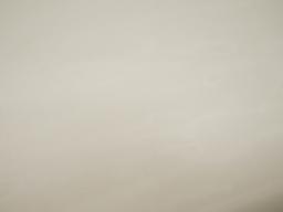 Solid organza in sage flat