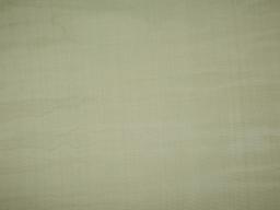 Solid organza in Avocado flat