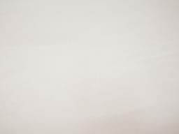 Silk organza in ivory flat