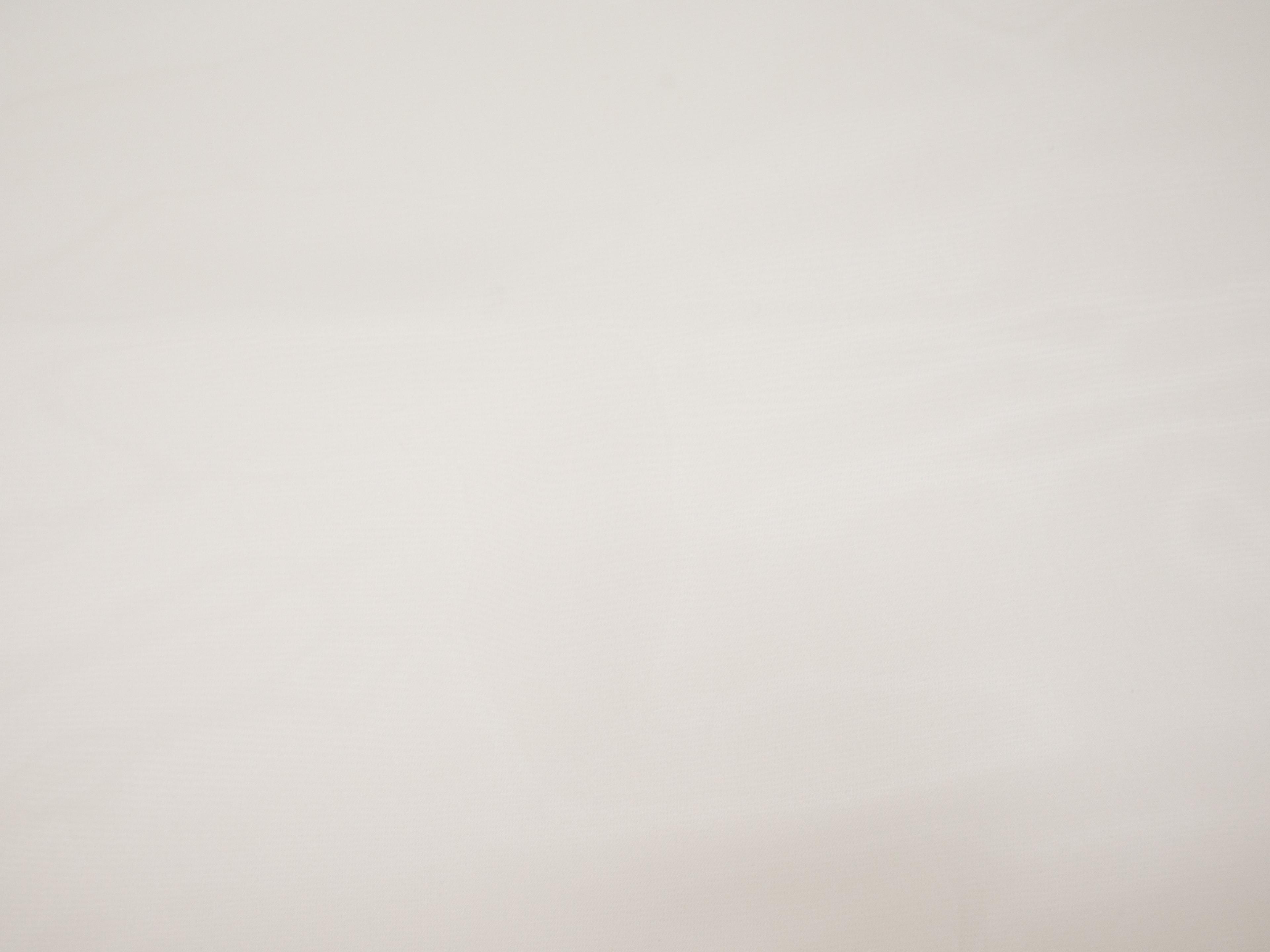 Silk organza in ivory flat