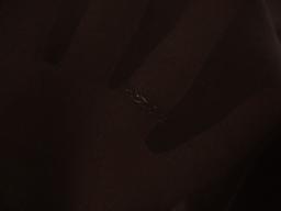 Polyester Double Georgette in Brown