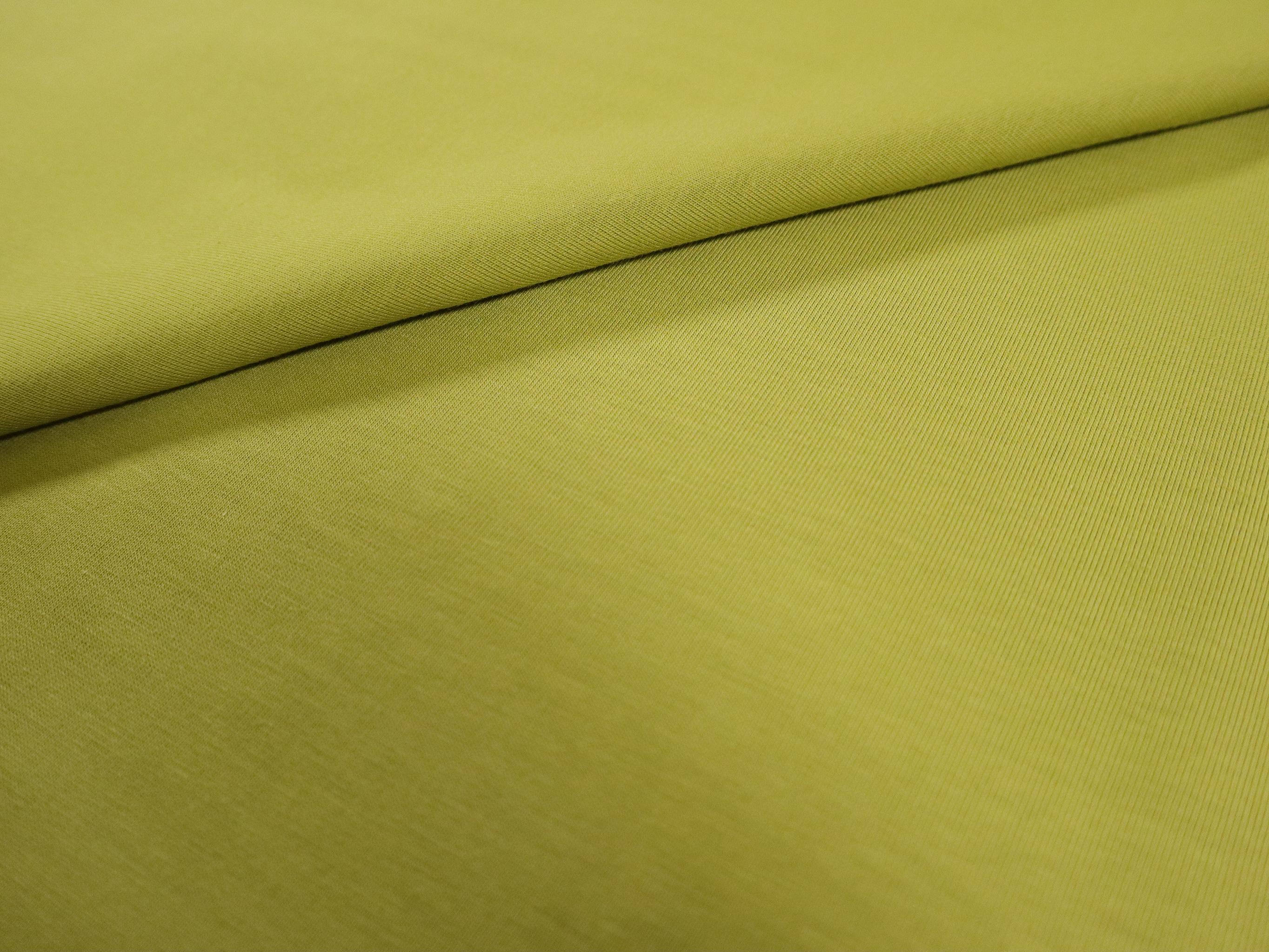 Cotton Spandex Jersey in Bonsai