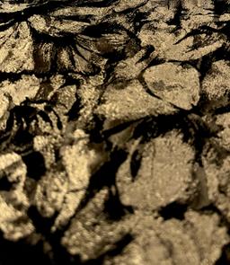 Polyester Jacquard Brocade in Gold/Black