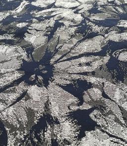 Polyester Jacquard Brocade in Navy & Silver