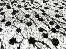 Embroidered Novelty Net in Black