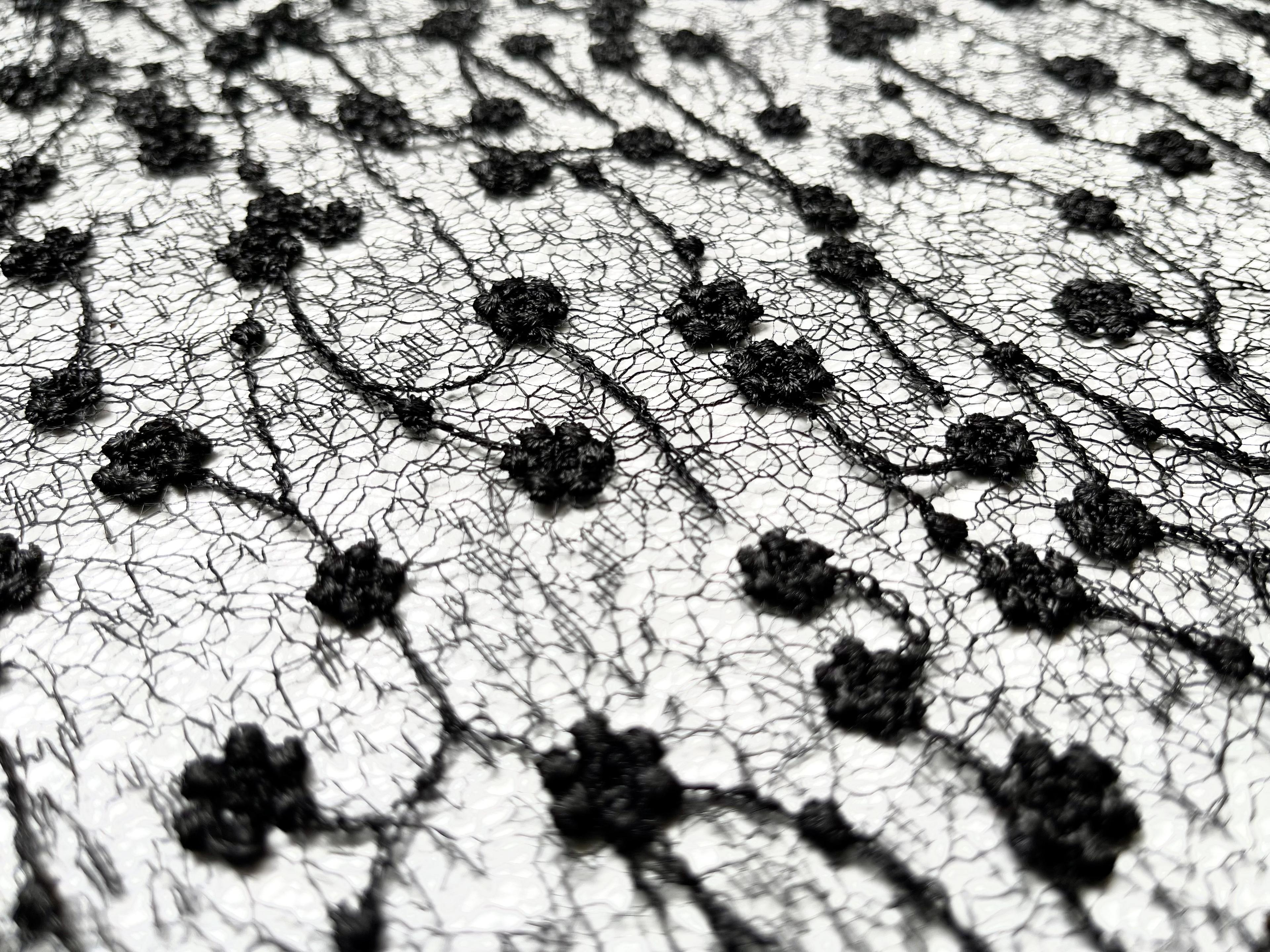 Embroidered Novelty Net in Black