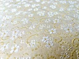 Italian Brocade