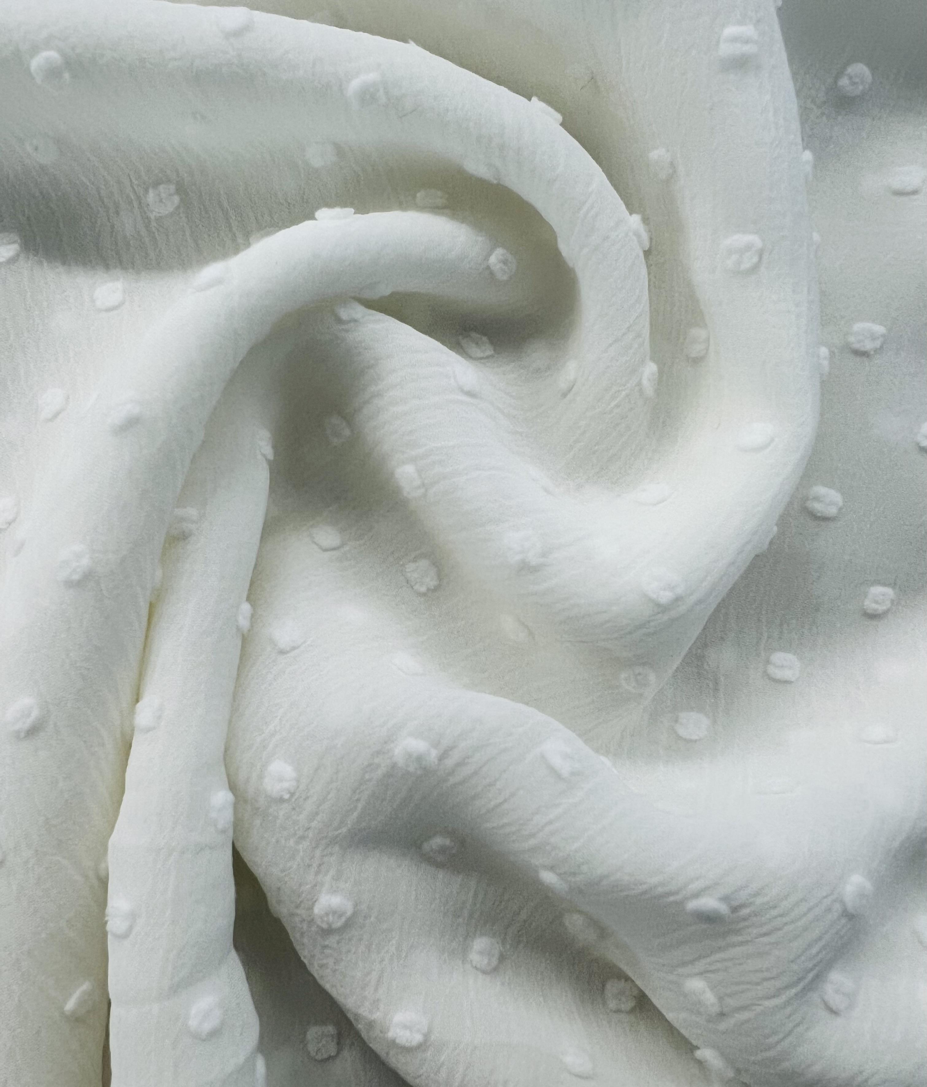 Clip Dotted Chiffon in White