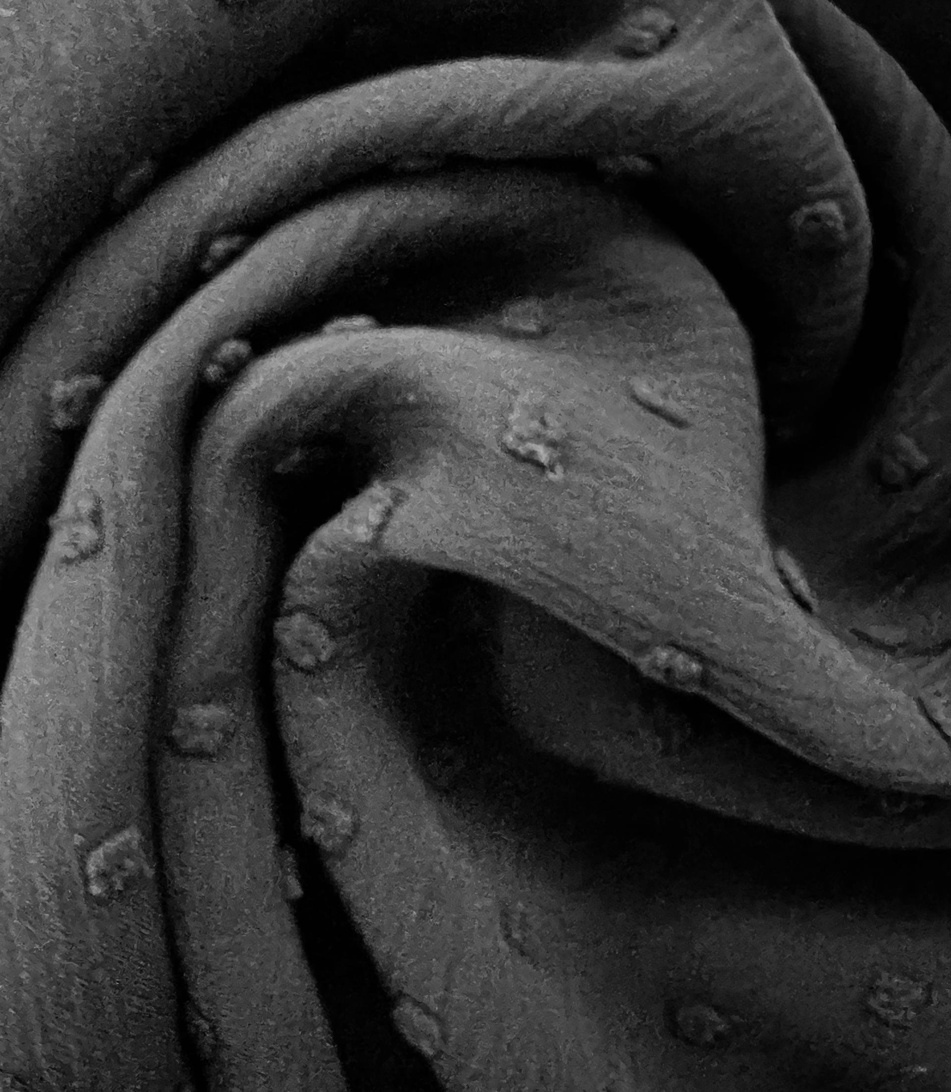 Clip Dotted Chiffon in Black