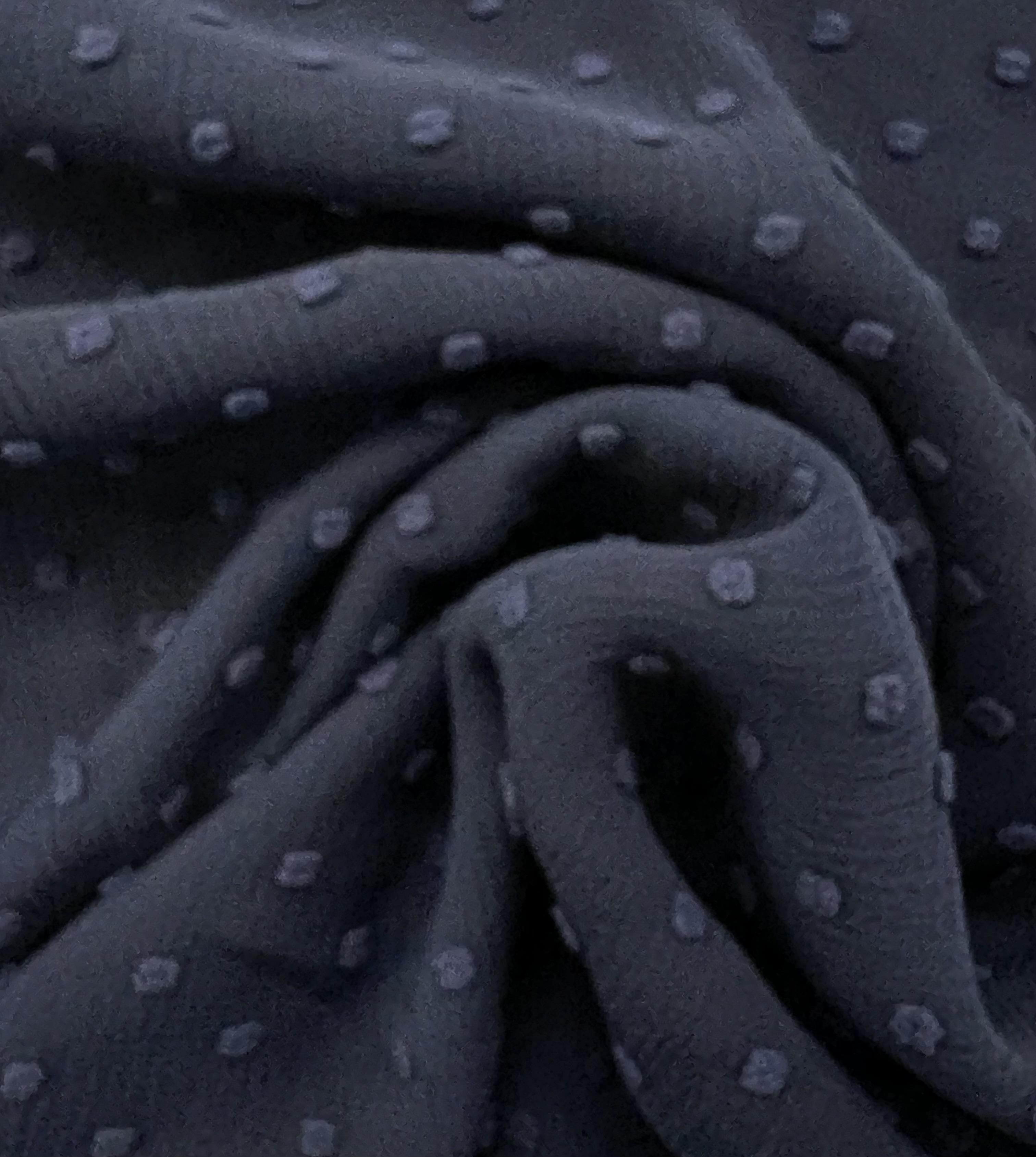 Clip Dotted Chiffon in Navy