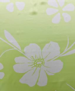 Printed French Silk Charmeuse