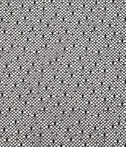 Point D'esprit in Black