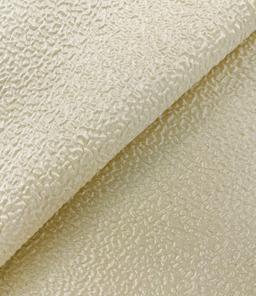 Silk Blend Organza Cloqué In Ivory