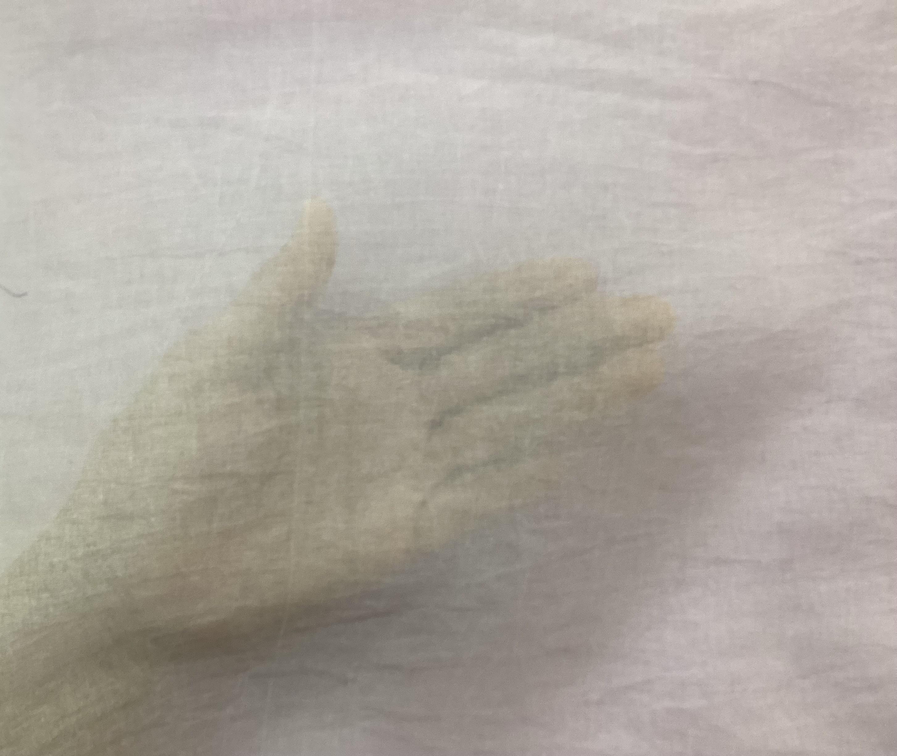 Cotton Organdy in Lilac