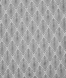 Novelty Illusion in Black