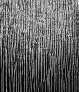 Crinkle Triacetate Cupro Charmeuse in Black